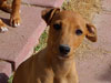 The Girl We're Keeping
