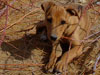 The Girl We're Keeping