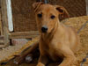 The Girl We're Keeping